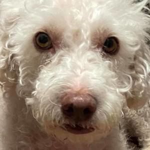 Meet your Posher, Christine